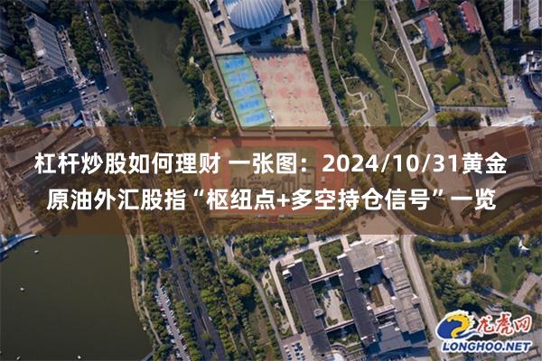 杠杆炒股如何理财 一张图：2024/10/31黄金原油外汇股指“枢纽点+多空持仓信号”一览