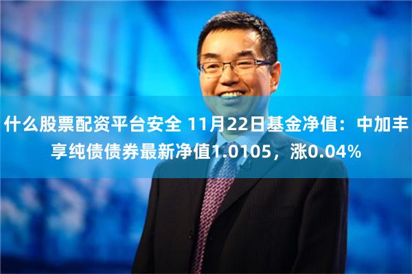 什么股票配资平台安全 11月22日基金净值：中加丰享纯债债券最新净值1.0105，涨0.04%