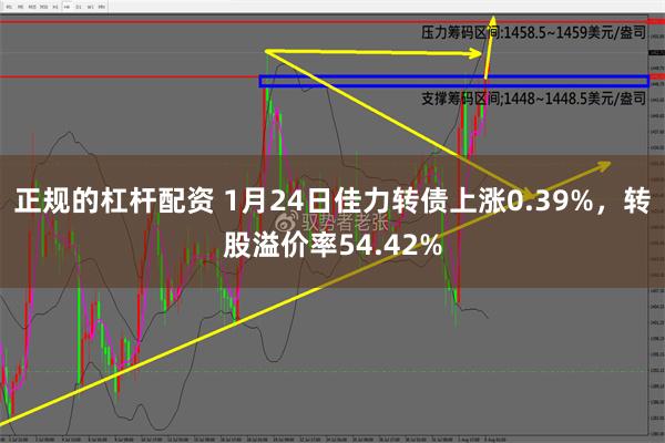 正规的杠杆配资 1月24日佳力转债上涨0.39%，转股溢价率54.42%